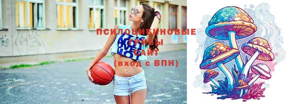 гидропоника Аркадак