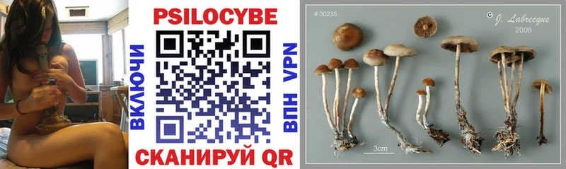 Галлюциногенные грибы прущие грибы  Купить где  Верея 